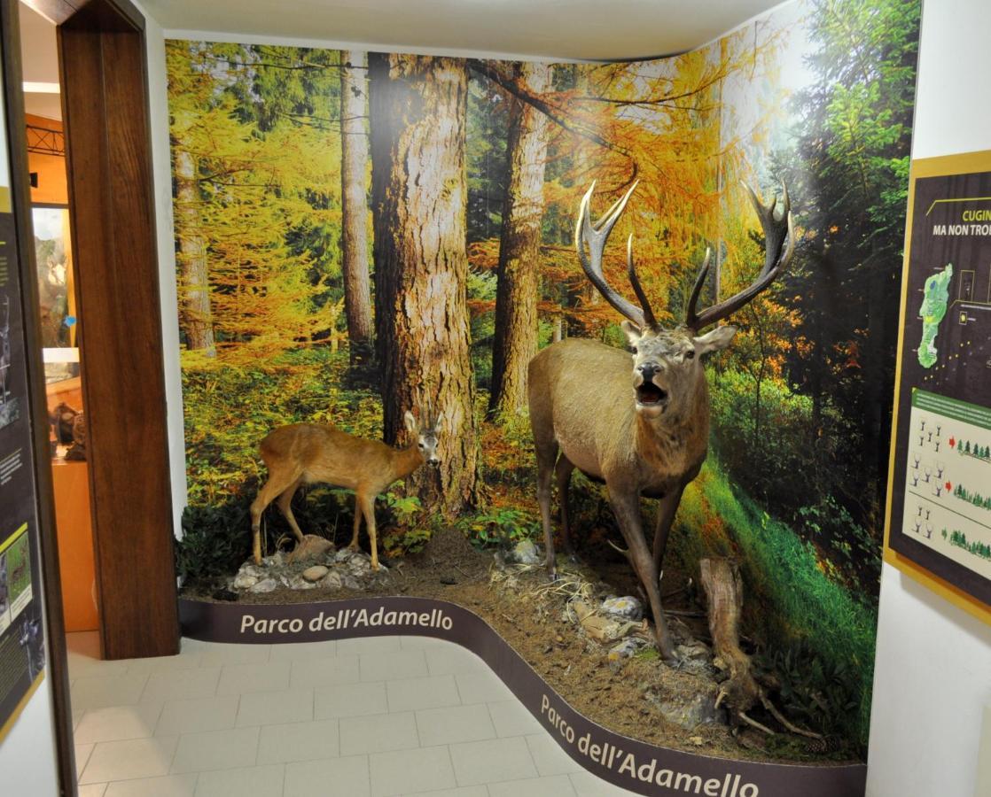 Casa Del Parco Dell'Adamello Di Vezza D'Oglio Hostel Luaran gambar